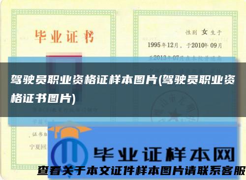 駕駛員職業資格證樣本圖片(駕駛員職業資格證書圖片)縮略圖