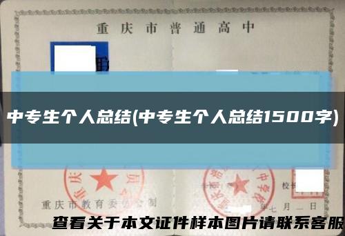 中專生個人總結(中專生個人總結1500字)縮略圖