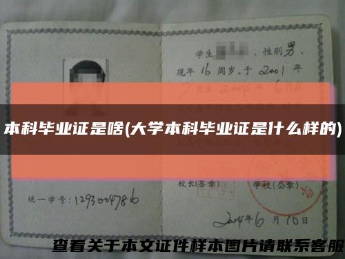 本科畢業證是啥(大學本科畢業證是什么樣的)縮略圖