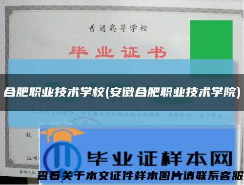 合肥職業技術學校(安徽合肥職業技術學院)縮略圖