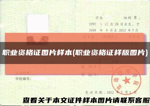 職業資格證圖片樣本(職業資格證樣版圖片)縮略圖