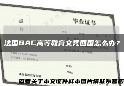 法國BAC高等教育文憑回國怎么辦？縮略圖