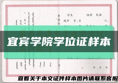 宜賓學院學位證樣本縮略圖