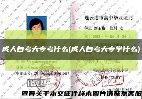 成人自考大?？际裁?成人自考大專學什么)縮略圖
