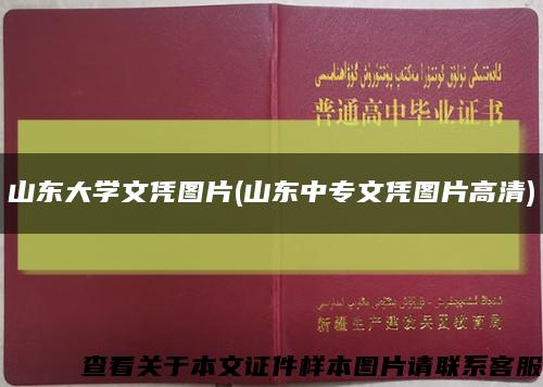 山東大學文憑圖片(山東中專文憑圖片高清)縮略圖