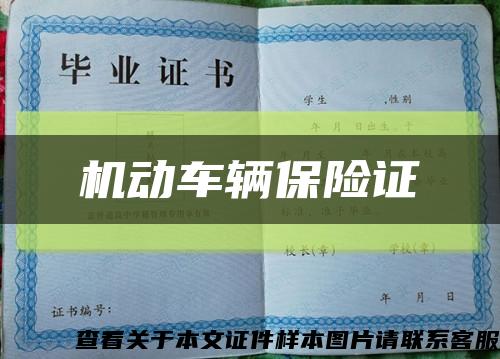 機動車輛保險證縮略圖