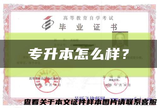 專升本怎么樣？縮略圖