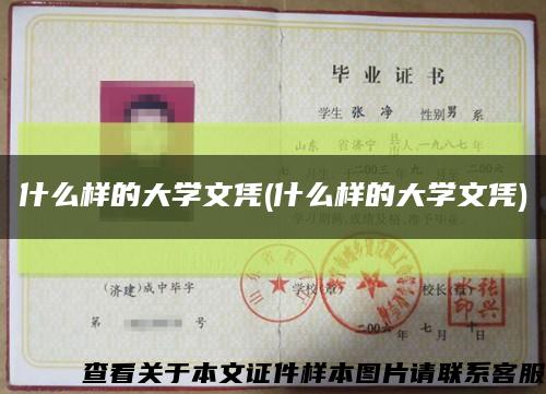 什么樣的大學文憑(什么樣的大學文憑)縮略圖