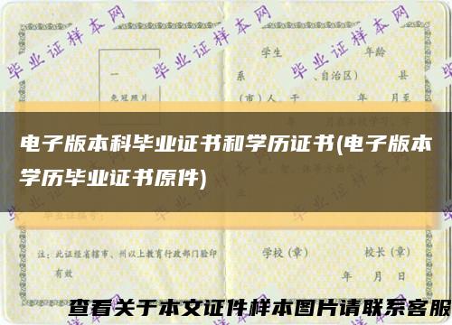 電子版本科畢業證書和學歷證書(電子版本學歷畢業證書原件)縮略圖