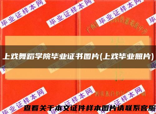 上戲舞蹈學院畢業證書圖片(上戲畢業照片)縮略圖