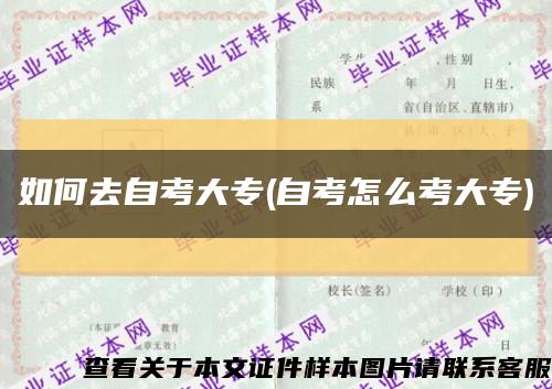 如何去自考大專(自考怎么考大專)縮略圖
