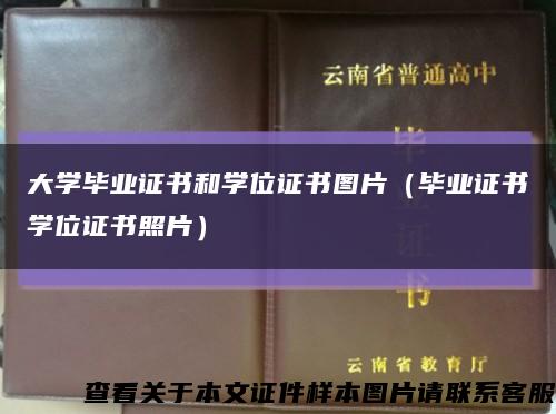 大學畢業證書和學位證書圖片（畢業證書學位證書照片）縮略圖