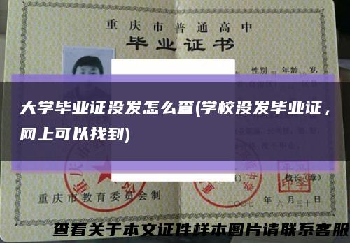 大學畢業證沒發怎么查(學校沒發畢業證，網上可以找到)縮略圖