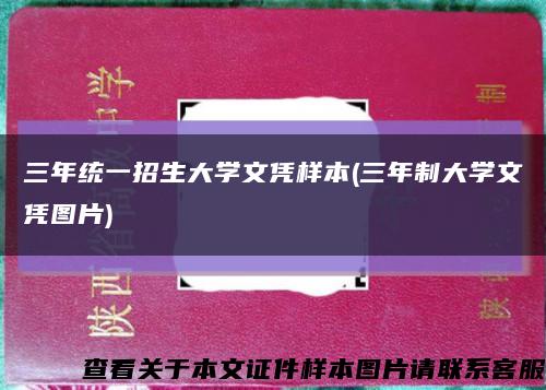 三年統一招生大學文憑樣本(三年制大學文憑圖片)縮略圖