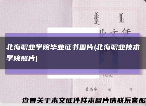 北海職業學院畢業證書圖片(北海職業技術學院照片)縮略圖