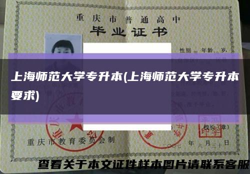 上海師范大學專升本(上海師范大學專升本要求)縮略圖