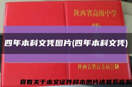 四年本科文憑圖片(四年本科文憑)縮略圖