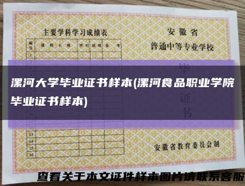 漯河大學畢業證書樣本(漯河食品職業學院畢業證書樣本)縮略圖