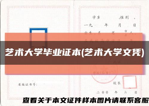 藝術大學畢業證本(藝術大學文憑)縮略圖