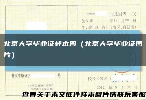 北京大學畢業證樣本圖（北京大學畢業證圖片）縮略圖
