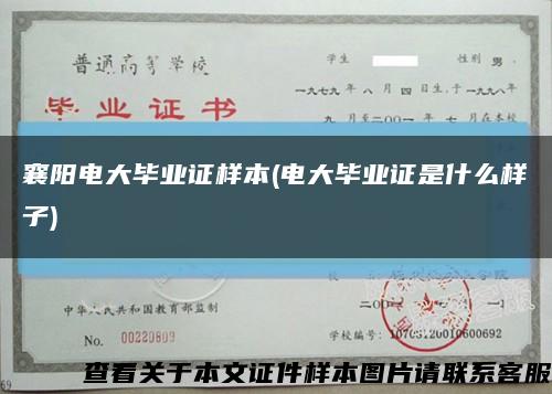 襄陽電大畢業證樣本(電大畢業證是什么樣子)縮略圖