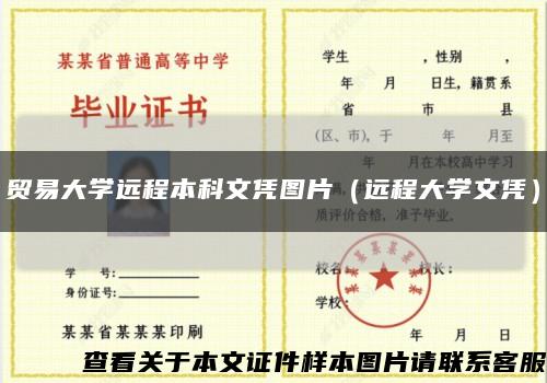 貿易大學遠程本科文憑圖片（遠程大學文憑）縮略圖