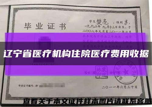 遼寧省醫療機構住院醫療費用收據縮略圖