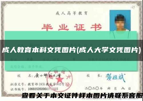 成人教育本科文憑圖片(成人大學文憑圖片)縮略圖