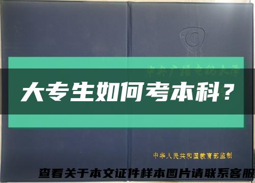 大專生如何考本科？縮略圖