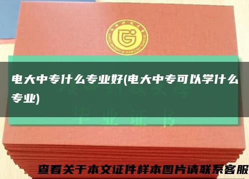電大中專什么專業好(電大中?？梢詫W什么專業)縮略圖