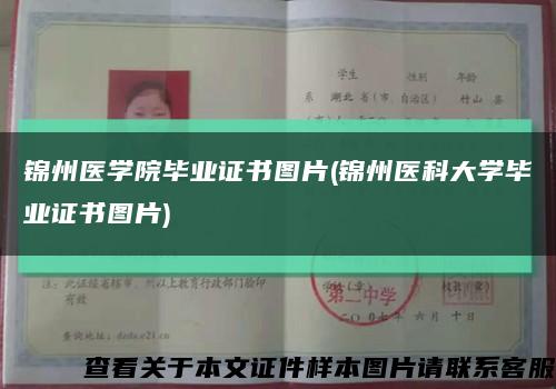 錦州醫學院畢業證書圖片(錦州醫科大學畢業證書圖片)縮略圖
