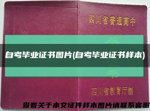 自考畢業證書圖片(自考畢業證書樣本)縮略圖