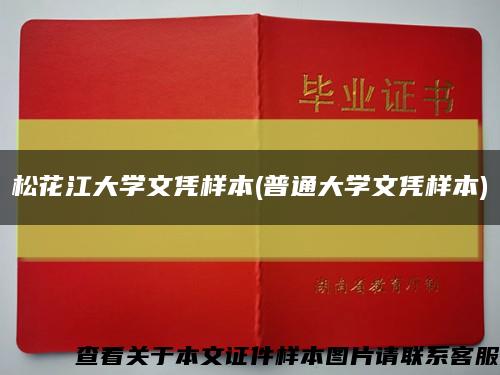 松花江大學文憑樣本(普通大學文憑樣本)縮略圖