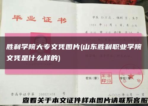 勝利學院大專文憑圖片(山東勝利職業學院文憑是什么樣的)縮略圖