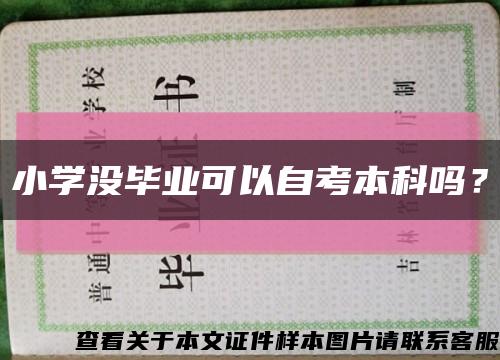 小學沒畢業可以自考本科嗎？縮略圖