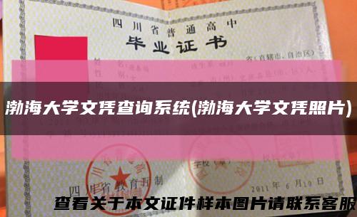渤海大學文憑查詢系統(渤海大學文憑照片)縮略圖