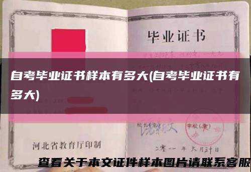 自考畢業證書樣本有多大(自考畢業證書有多大)縮略圖