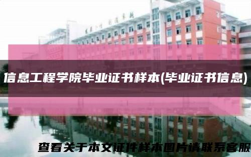 信息工程學院畢業證書樣本(畢業證書信息)縮略圖