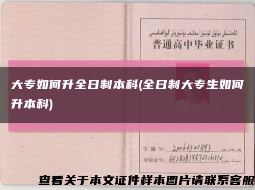 大專如何升全日制本科(全日制大專生如何升本科)縮略圖