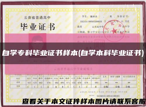 自學?？飘厴I證書樣本(自學本科畢業證書)縮略圖