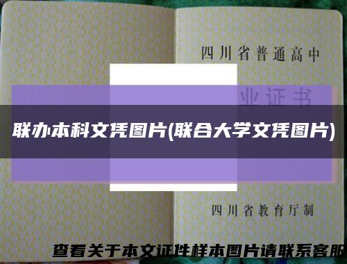 聯辦本科文憑圖片(聯合大學文憑圖片)縮略圖