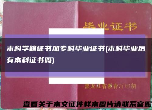 本科學籍證書加?？飘厴I證書(本科畢業后有本科證書嗎)縮略圖