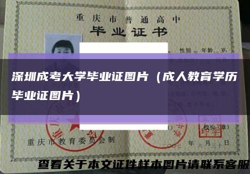 深圳成考大學畢業證圖片（成人教育學歷畢業證圖片）縮略圖