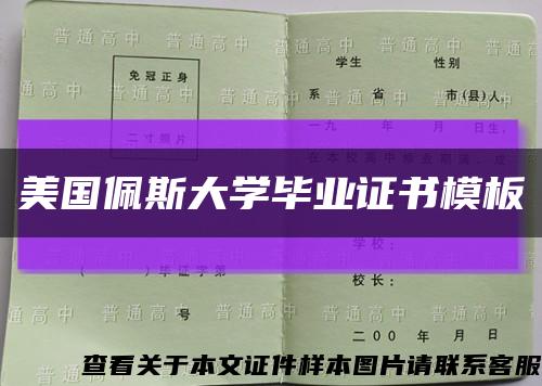 美國佩斯大學畢業證書模板縮略圖