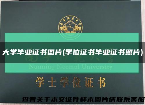 大學畢業證書圖片(學位證書畢業證書照片)縮略圖