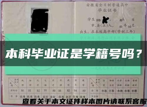 本科畢業證是學籍號嗎？縮略圖