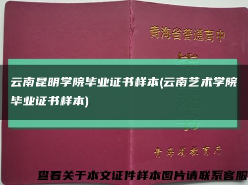 云南昆明學院畢業證書樣本(云南藝術學院畢業證書樣本)縮略圖