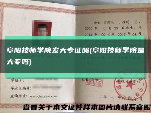 阜陽技師學院發大專證嗎(阜陽技師學院是大專嗎)縮略圖