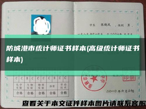 防城港市統計師證書樣本(高級統計師證書樣本)縮略圖