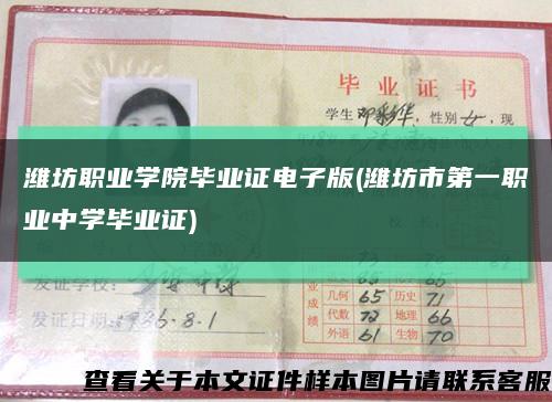 濰坊職業學院畢業證電子版(濰坊市第一職業中學畢業證)縮略圖